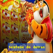 telefone do detran de santos